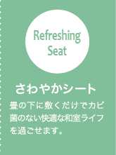 ����₩�V�[�g ��̉��ɕ~�������ŃJ�r�ۂ̂Ȃ����K�Șa�����C�t���߂����܂��B